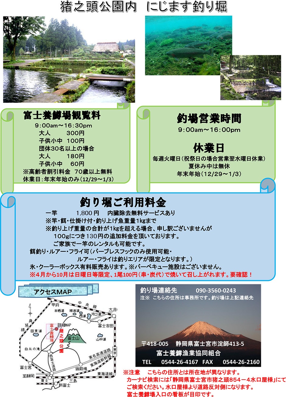 マス釣り 遊び 見学 鱒 富士養鱒漁業組合 概要 富士山 鱒